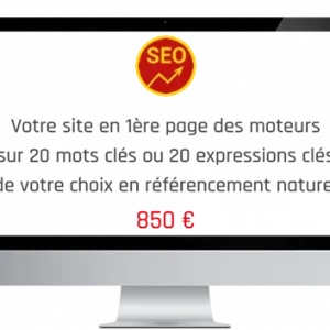 Référencement naturel sur les 20 mots clés ou les 20 expressions de mots clés de votre choix