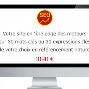 Référencement naturel sur les 30 mots clés ou les 30 expressions de mots clés de votre choix